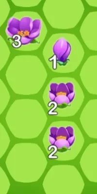 play Flower Burst 
